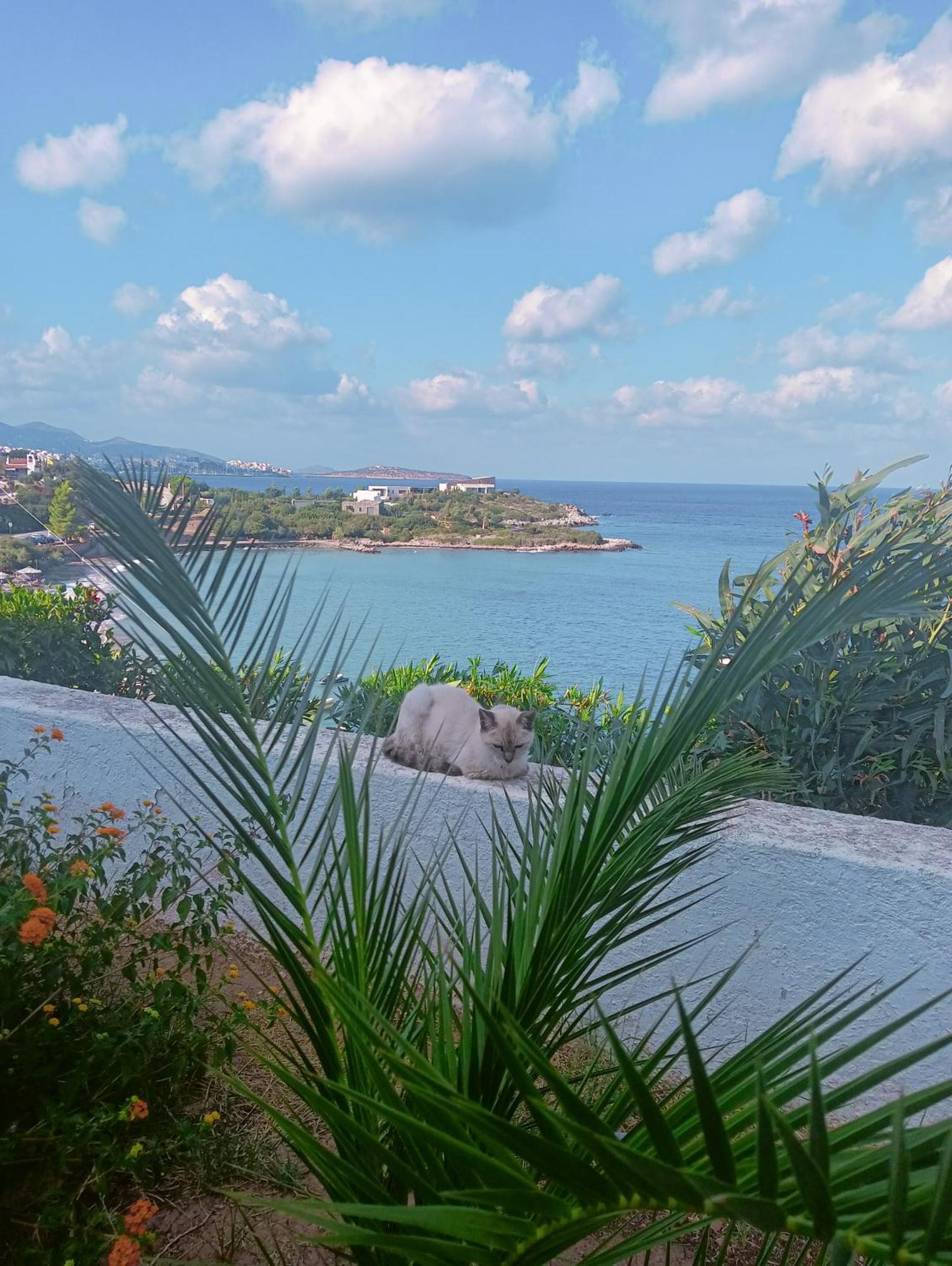 Residence Gerani Amoudara  Luaran gambar